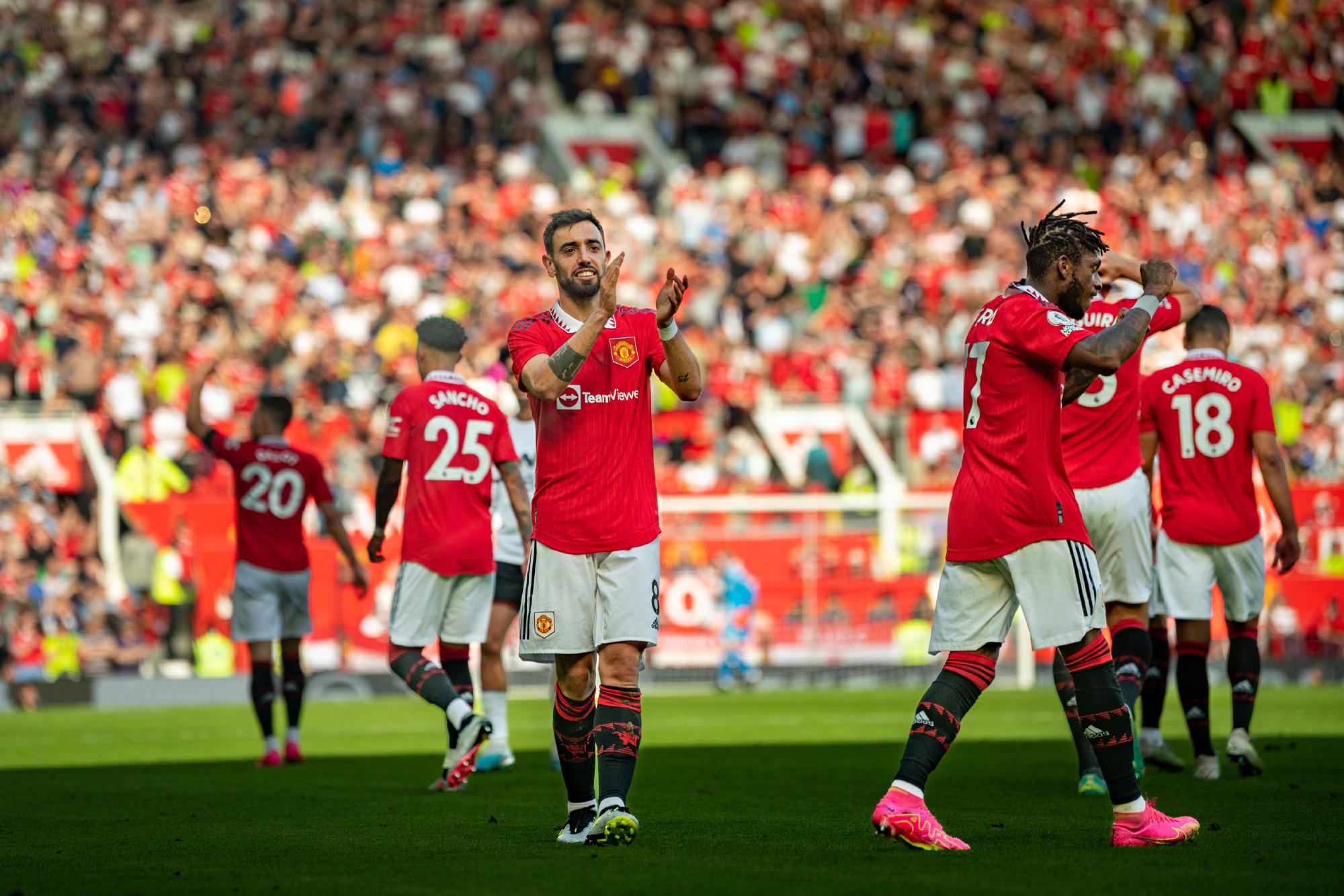 全面性因此 全面性因此